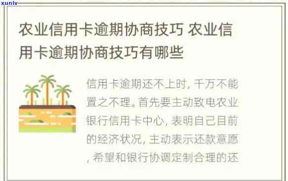 逾期50天以上的农业信用卡应该如何处理？这里有全面的解决办法！