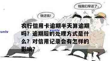 逾期50天以上的农业信用卡应该如何处理？这里有全面的解决办法！