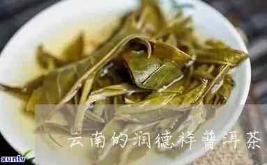 润德祥普洱茶：名气与品质并存的传奇茶品