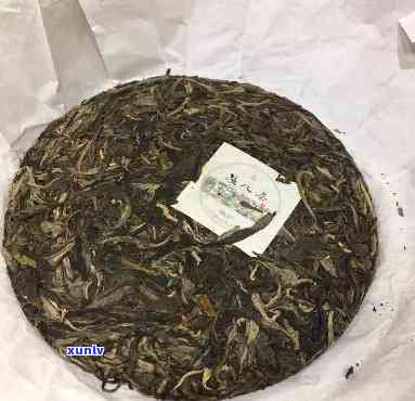 探究文瑞号普洱茶的品质与口感