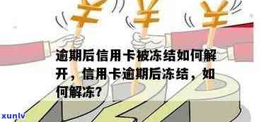 信用卡逾期被冻结后，如何解冻？了解详细步骤和可能性