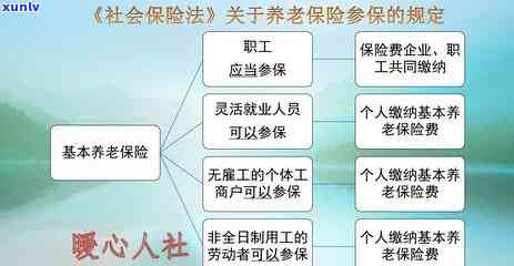 2020年信用卡逾期还款政策：全面解读与欠款减免标准