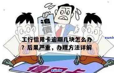 十年逾期后的工行信用卡处理心得：关键步骤与解决方案