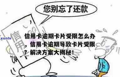 信用卡逾期导致功能受限？了解解决方案和预防措