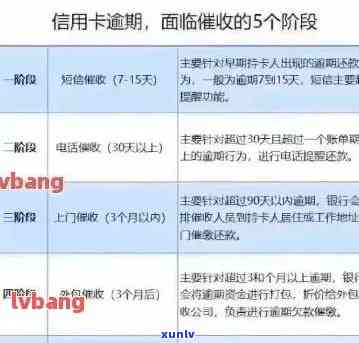 五个信用卡全部逾期