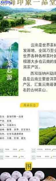 云南特色普洱茶探索之旅——一品堂官方网站