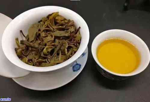 普洱茶一年四的变化及其影响：从春茶到秋茶，品质和口感的演变探究