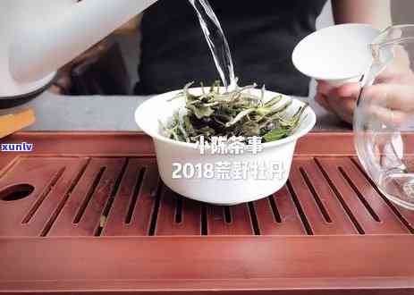 一天喝一升普洱茶的影响及适量摄入：一天多少毫升更合适？