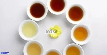 普洱茶饮用量：一天中饮用时间、适量及对身体的影响全解析