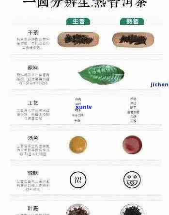 普洱茶品质等级划分及其特点解析：特级、一级、二级有何不同？