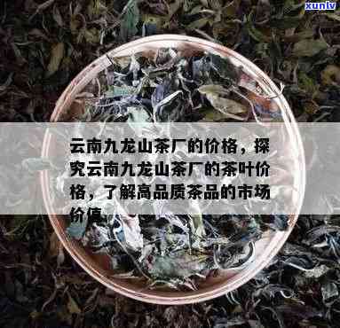 云南九龙山茶厂的普洱茶品质如何？口感、保存与选购指南一应俱全！