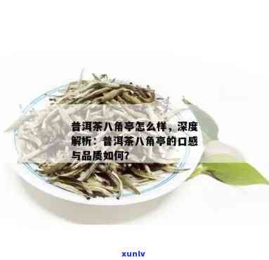 全方位指南：八角亭普洱生茶的挑选、品鉴与饮用 *** ，满足您的所有需求！