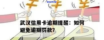 招商信用卡6万逾期90天，仅还两千元：还款困境如何解决？