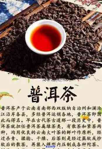 普洱茶是四大名茶吗