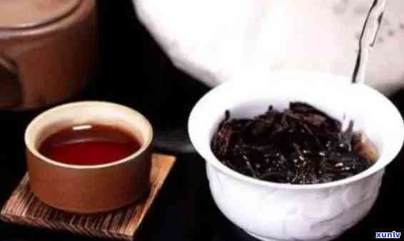 四年陈普洱茶，是否仍适合饮用？专家告诉你答案