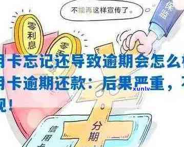 信用卡逾期问题大揭秘：如何有效应对并避免逾期处理困扰