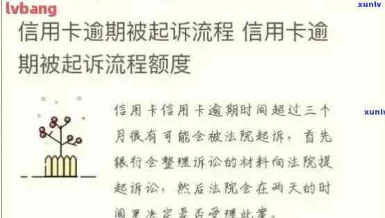 信用卡逾期：潜在后果与信用修复策略分析