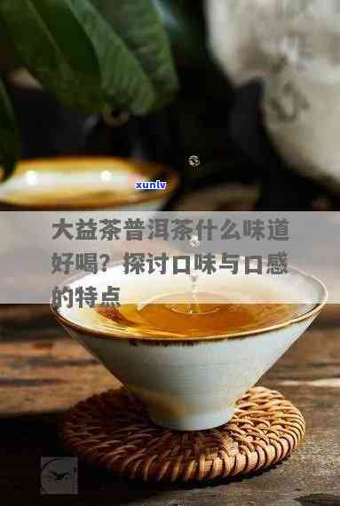 大益普洱茶口感指南：哪一款最值得推荐？