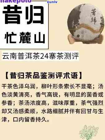 普洱茶名言大全：了解普洱茶的历、文化、功效与泡法的全面指南