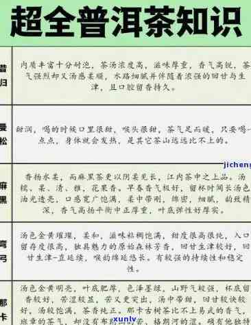 普洱茶名言大全：了解普洱茶的历、文化、功效与泡法的全面指南