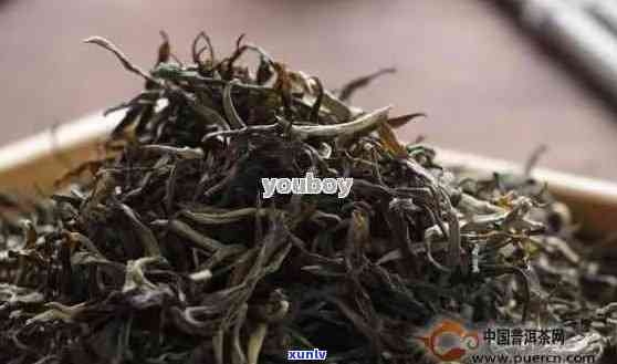 一般的普洱茶多少钱一斤？市场上普洱茶价格分析与推荐 - 4.6万阅读