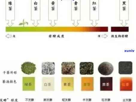 普洱茶苦涩度详解：一份全面涵各类普洱茶的苦涩程度一览表