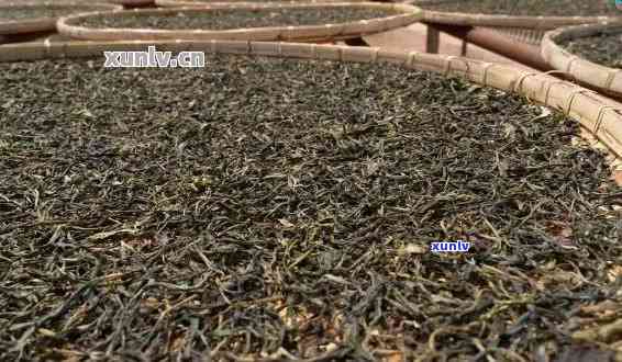 揭秘普洱茶 *** 过程：一饼普洱茶究竟需要多少斤茶叶？