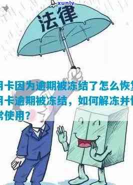 微信账号因信用卡逾期被冻结，解冻后多久恢复正常使用？