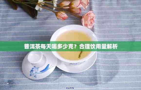 普洱茶饮用量：一天合适的摄取量是多少？