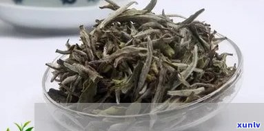 百岁茶是什么茶：品种、成分、功效与价格全解析