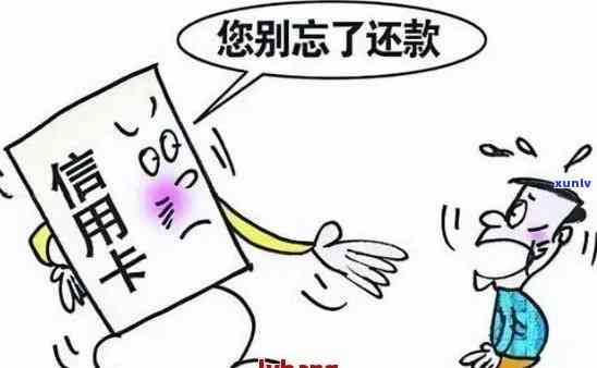 信用卡逾期还款额与信用关系的影响：探讨更低还款是否必要