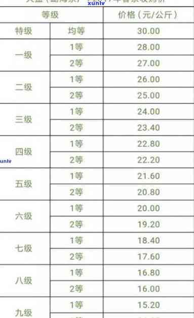 全面了解今大福普洱茶行情，包括价格、品质、投资分析等一站式解决方案