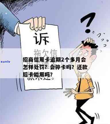 招商信用卡逾期20天会停卡吗？如何处理？