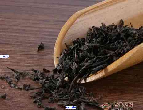 九龙山普洱茶怎么样好喝吗？多少钱一斤？