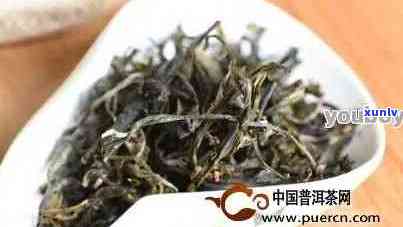 九龙山普洱茶怎么样好喝吗？多少钱一斤？