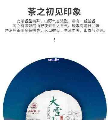 普洱茶大雪山：特点、产地、价格与品质，了解这款茶叶的关键信息。