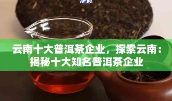 探寻普洱茶市场：哪款茶品荣获十大知名殊荣？