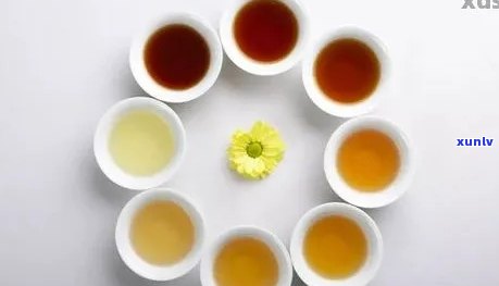 普洱茶和圆泡饮的全面功效解析：为何这种组合对健有益？