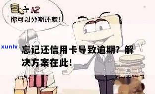 忘记信用卡卡号如何解决逾期还款问题