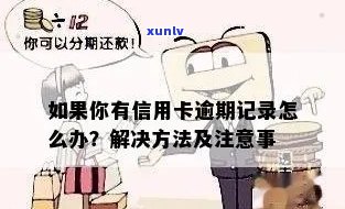 信用卡逾期后忘记卡号怎么办？解决 *** 和注意事项一览