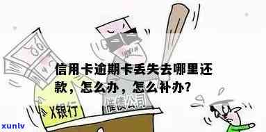 信用卡逾期后忘记卡号怎么办？解决 *** 和注意事项一览