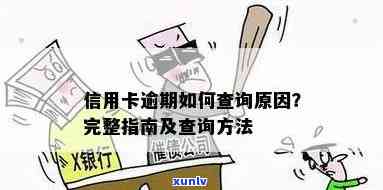 忘了是哪张信用卡逾期了怎么办，怎么查询？