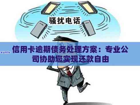 专业债务处理公司：解决信用卡逾期分期难题，避免万元信用受损