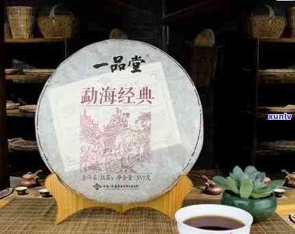 一品堂普洱茶：线级、品质评价与市场定位全面解析