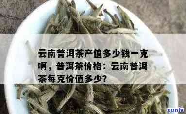 普洱茶一斤价格参考：品质与产地影响茶叶价值，一公斤多少钱？