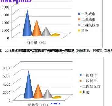 普洱茶市场年度销售数据分析及趋势探究