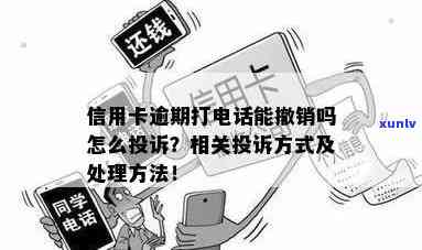 信用卡逾期举报全攻略：如何寻求帮助、举报途径与解决 *** 一网打尽！