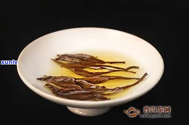 一颗普洱茶能泡几次