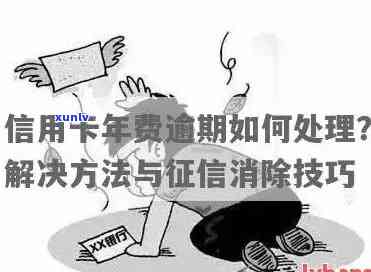 信用卡销户有年费逾期怎么办：完整操作指南