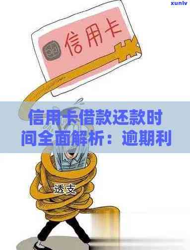 信用卡分期还款逾期利息计算指南：详细步骤与常见误区解析